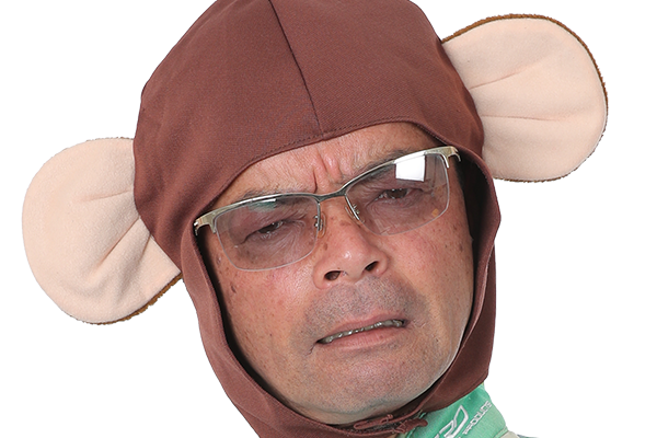 ゲスト